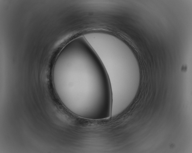 X0000096630732200802050933