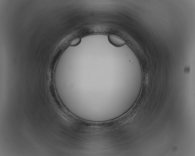 X0000096630733200802050933