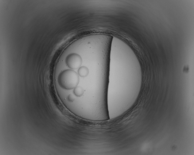 X0000096630734200802050933