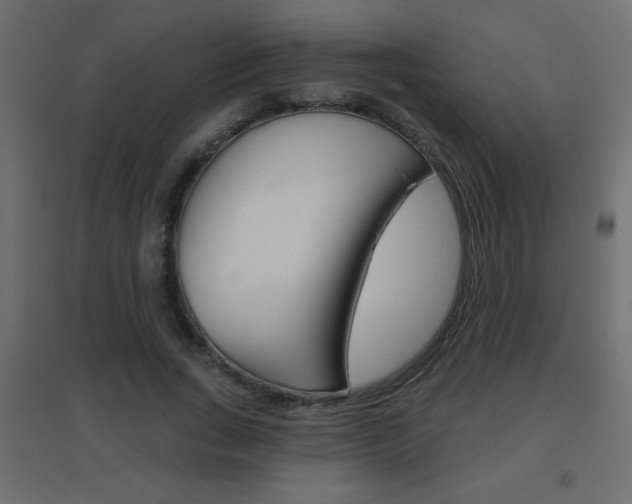 X0000096630735200802050933