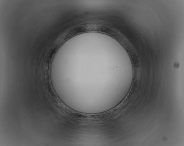 X0000096630737200802050933