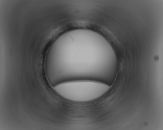 X0000096630739200802050933