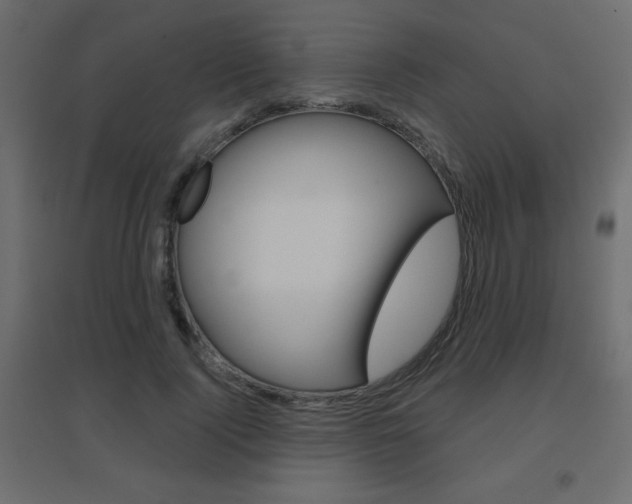 X0000096630740200802050933