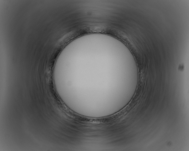 X0000096630741200802050933
