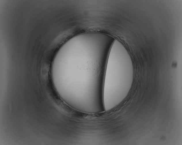 X0000096630742200802050933