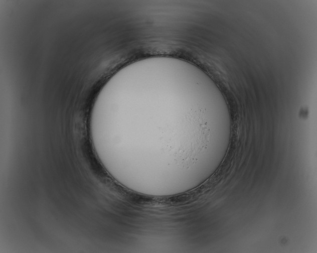X0000096630743200802050933