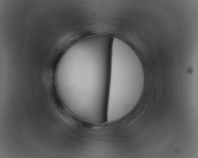 X0000096630744200802050933