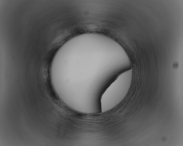 X0000096630746200802050933