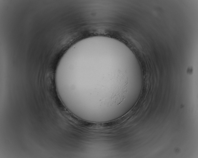 X0000096630747200802050933