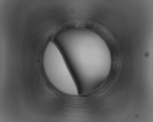 X0000096630748200802050933