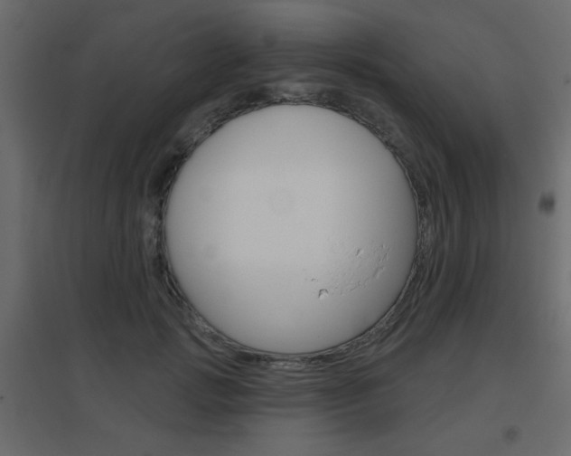 X0000096630749200802050933