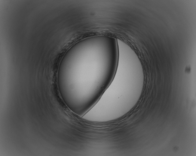 X0000096630750200802050933