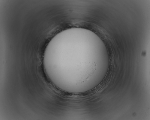 X0000096630751200802050934