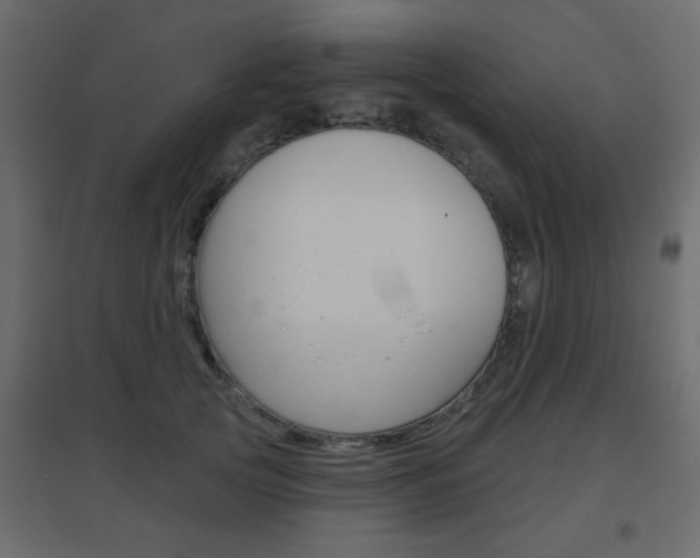 X0000096630753200802050934