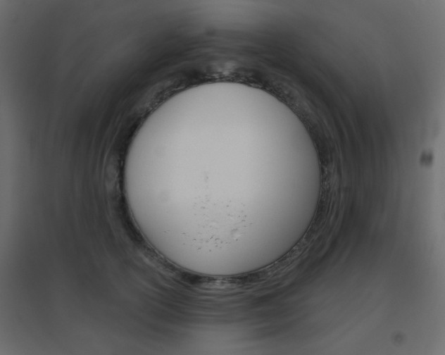 X0000096630754200802050934