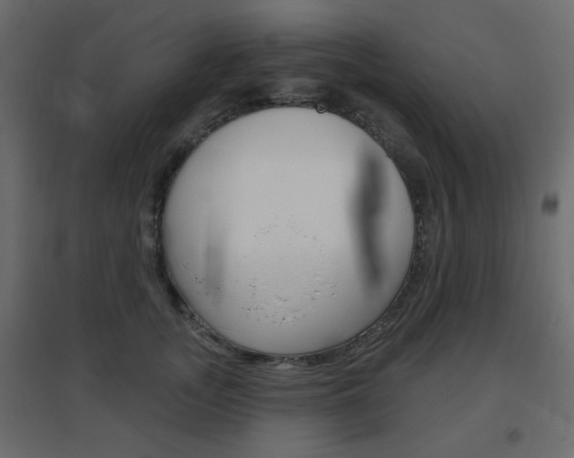X0000096630755200802050934