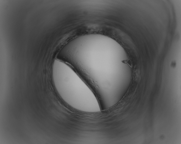 X0000096630756200802050934