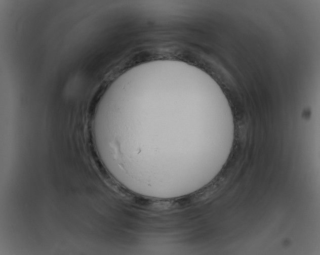 X0000096630757200802050934