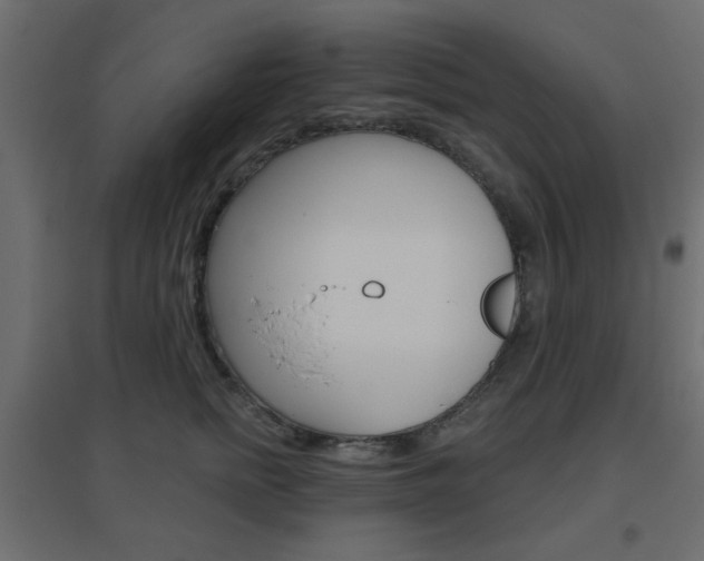 X0000096630758200802050934