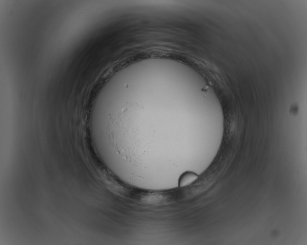 X0000096630759200802050934