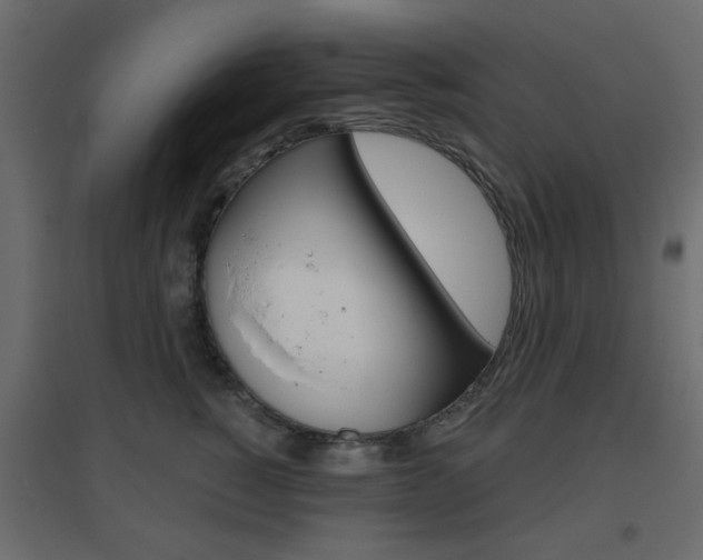 X0000096630760200802050934