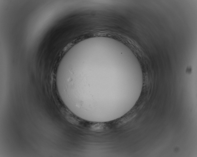 X0000096630761200802050934