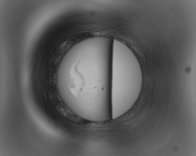 X0000096630763200802050934