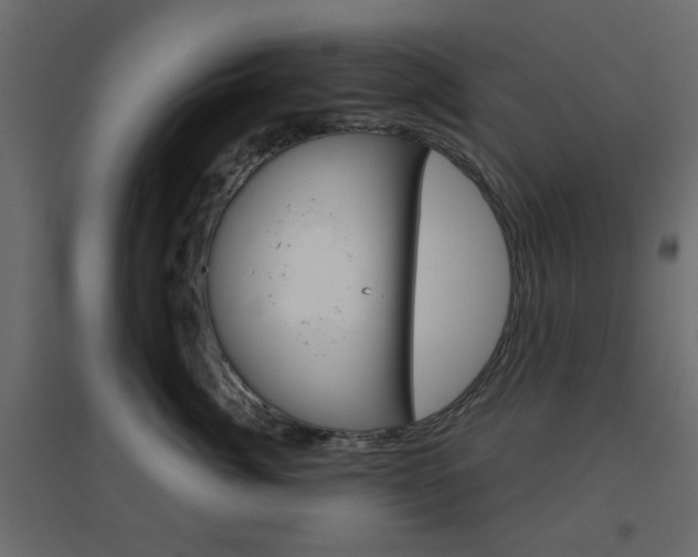 X0000096630764200802050934