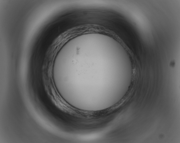 X0000096630765200802050934