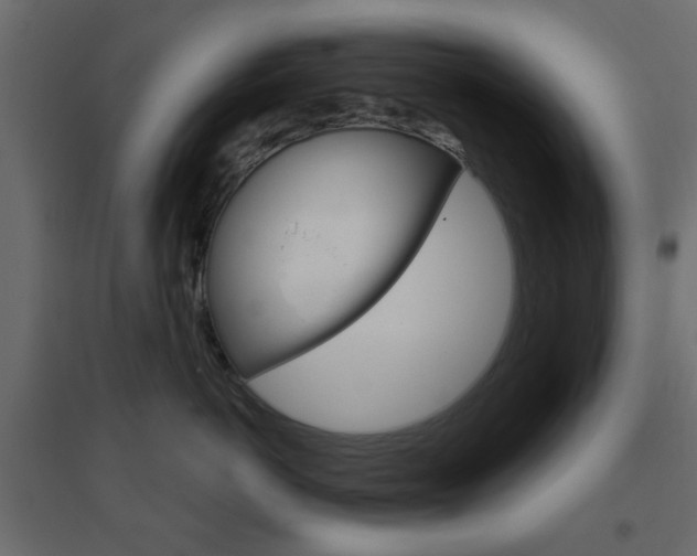 X0000096630766200802050934