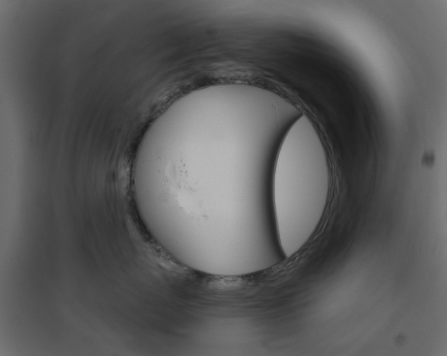 X0000096630767200802050934