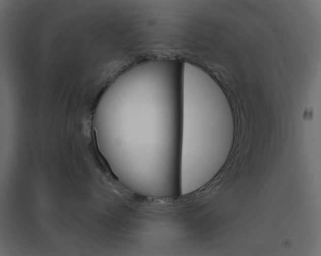 X0000096630768200802050934
