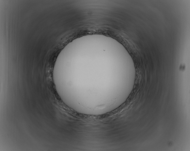 X0000096630770200802050933