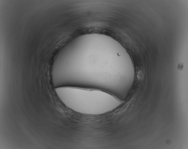 X0000096630771200802050933
