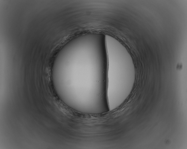 X0000096630772200802050933