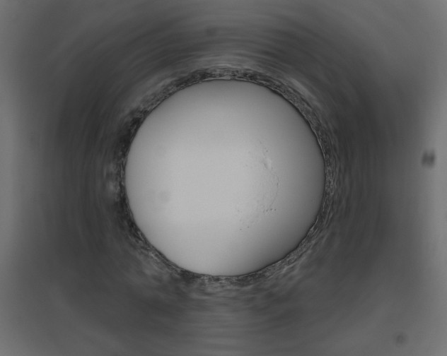 X0000096630774200802050933