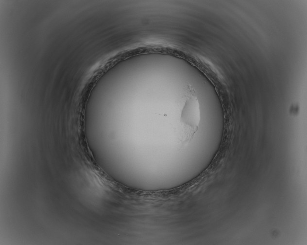 X0000096630776200802050933