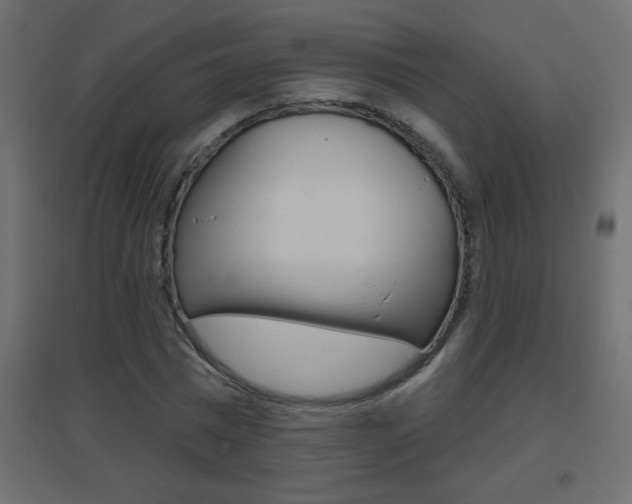 X0000096630777200802050933