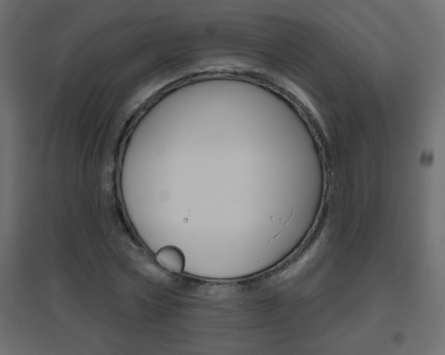 X0000096630778200802050933
