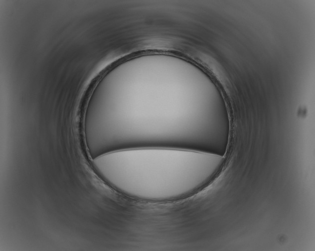 X0000096630779200802050933