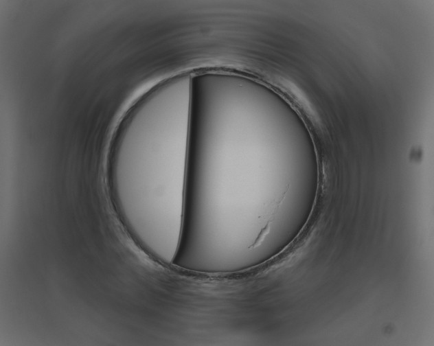 X0000096630780200802050933