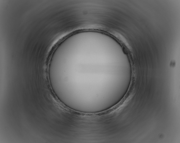 X0000096630781200802050933