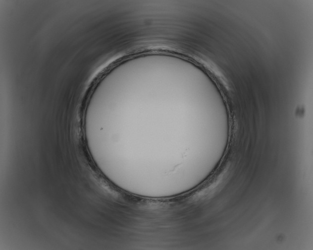 X0000096630782200802050933
