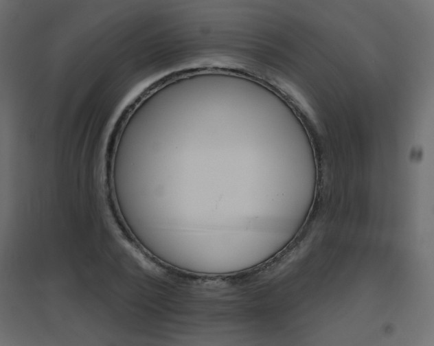X0000096630784200802050933