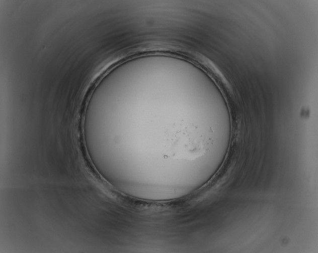 X0000096630786200802050933