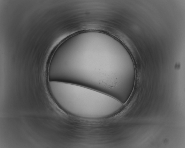 X0000096630787200802050933