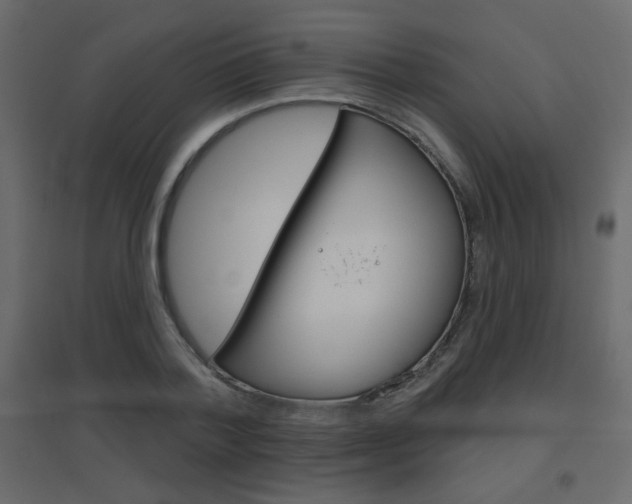 X0000096630788200802050933