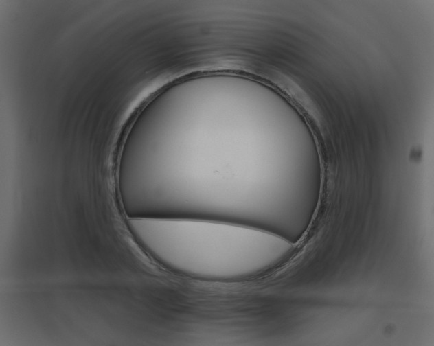 X0000096630789200802050933