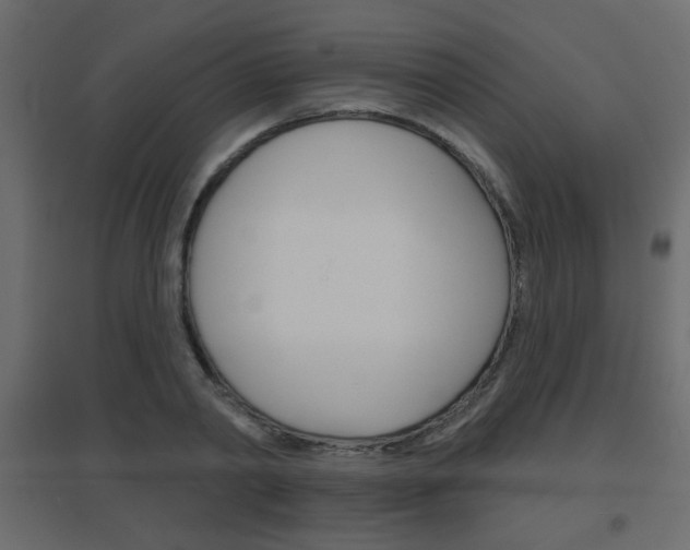 X0000096630790200802050933