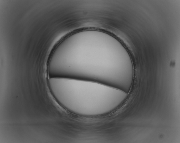 X0000096630791200802050933